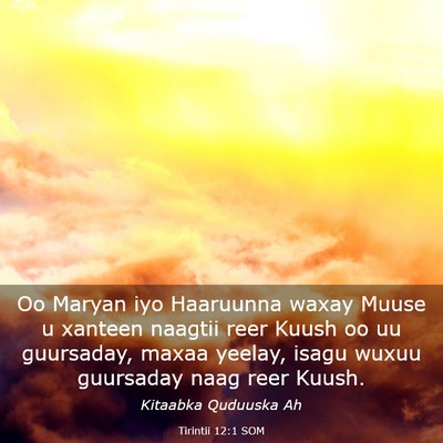 Picture 03 - Tirintii 12:1 SOM - Oo Maryan iyo Haaruunna waxay Muuse u xanteen - Bible Verse Picture