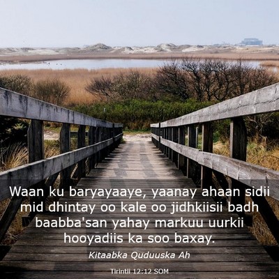 Picture 03 - Tirintii 12:12 SOM - Waan ku baryayaaye, yaanay ahaan sidii mid - Bible Verse Picture