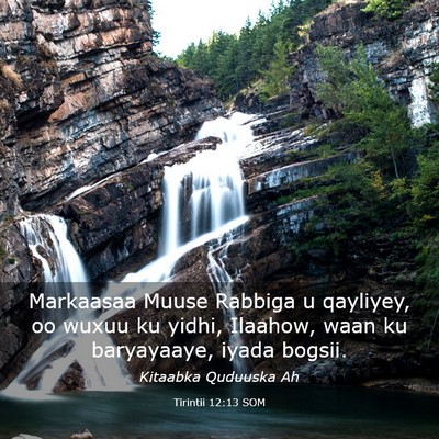 Picture 03 - Tirintii 12:13 SOM - Markaasaa Muuse Rabbiga u qayliyey, oo wuxuu ku - Bible Verse Picture