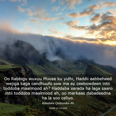 Picture 03 - Tirintii 12:14 SOM - Oo Rabbigu wuxuu Muuse ku yidhi, Haddii aabbeheed - Bible Verse Picture