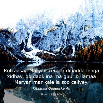 Picture 03 - Tirintii 12:15 SOM - Kolkaasaa Maryan xerada dibadda looga xidhay, oo - Bible Verse Picture