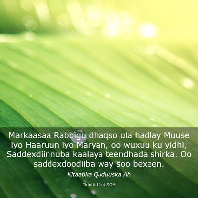 Picture 03 - Tirintii 12:4 SOM - Markaasaa Rabbigu dhaqso ula hadlay Muuse iyo - Bible Verse Picture