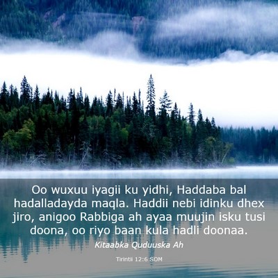 Picture 03 - Tirintii 12:6 SOM - Oo wuxuu iyagii ku yidhi, Haddaba bal - Bible Verse Picture