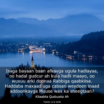 Picture 03 - Tirintii 12:8 SOM - Isaga bayaan baan afkayga ugula hadlayaa, oo - Bible Verse Picture