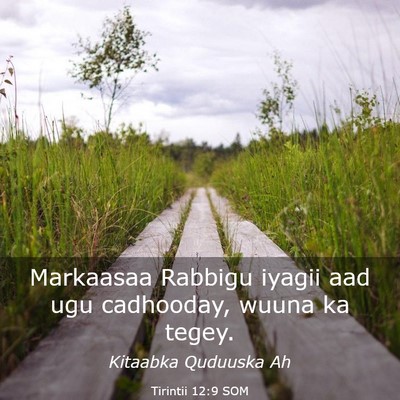 Picture 03 - Tirintii 12:9 SOM - Markaasaa Rabbigu iyagii aad ugu cadhooday, wuuna - Bible Verse Picture