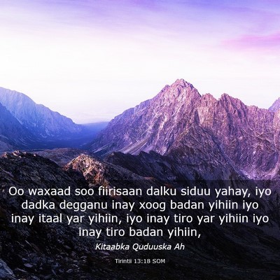 Picture 03 - Tirintii 13:18 SOM - Oo waxaad soo fiirisaan dalku siduu yahay, iyo - Bible Verse Picture