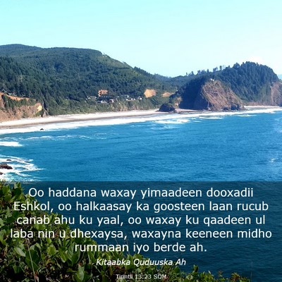 Picture 03 - Tirintii 13:23 SOM - Oo haddana waxay yimaadeen dooxadii Eshkol, oo - Bible Verse Picture