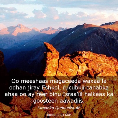 Picture 03 - Tirintii 13:24 SOM - Oo meeshaas magaceeda waxaa la odhan jiray - Bible Verse Picture