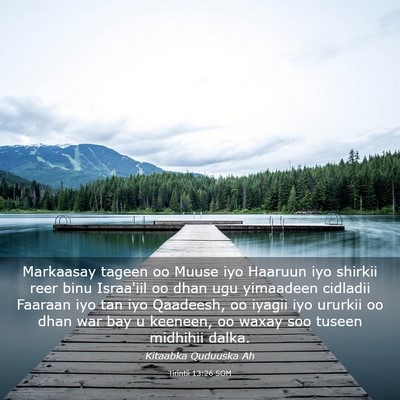 Picture 03 - Tirintii 13:26 SOM - Markaasay tageen oo Muuse iyo Haaruun iyo shirkii - Bible Verse Picture