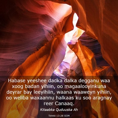 Picture 03 - Tirintii 13:28 SOM - Habase yeeshee dadka dalka degganu waa xoog badan - Bible Verse Picture