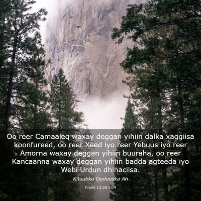Picture 03 - Tirintii 13:29 SOM - Oo reer Camaaleq waxay deggan yihiin dalka - Bible Verse Picture