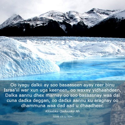 Picture 03 - Tirintii 13:32 SOM - Oo iyagu dalkii ay soo basaaseen ayay reer binu - Bible Verse Picture