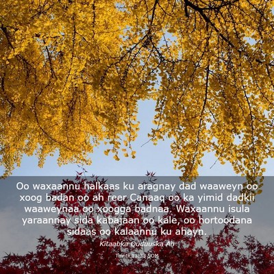 Picture 03 - Tirintii 13:33 SOM - Oo waxaannu halkaas ku aragnay dad waaweyn oo - Bible Verse Picture