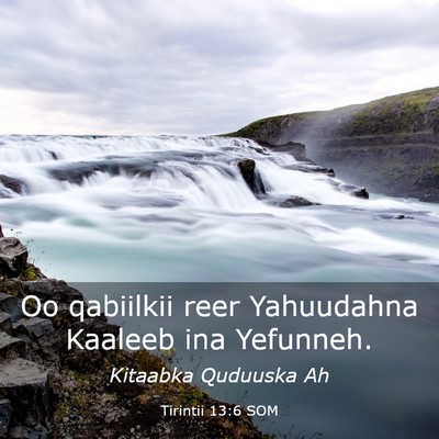 Picture 03 - Tirintii 13:6 SOM - Oo qabiilkii reer Yahuudahna Kaaleeb ina - Bible Verse Picture