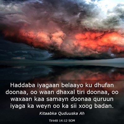 Picture 03 - Tirintii 14:12 SOM - Haddaba iyagaan belaayo ku dhufan doonaa, oo waan - Bible Verse Picture