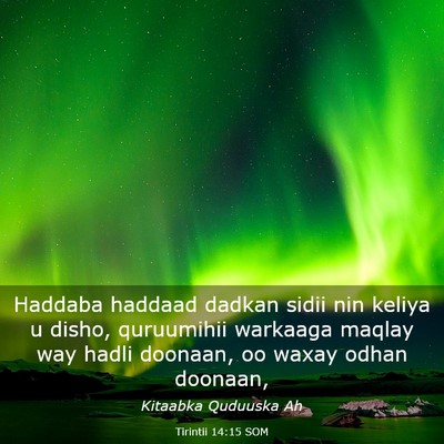 Picture 03 - Tirintii 14:15 SOM - Haddaba haddaad dadkan sidii nin keliya u disho, - Bible Verse Picture