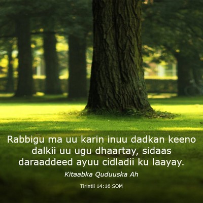 Picture 03 - Tirintii 14:16 SOM - Rabbigu ma uu karin inuu dadkan keeno dalkii uu - Bible Verse Picture