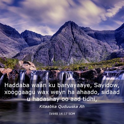 Picture 03 - Tirintii 14:17 SOM - Haddaba waan ku baryayaaye, Sayidow, xooggaagu - Bible Verse Picture