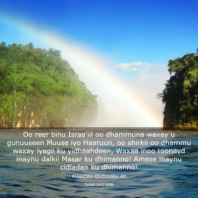 Picture 03 - Tirintii 14:2 SOM - Oo reer binu Israa'iil oo dhammuna waxay u - Bible Verse Picture