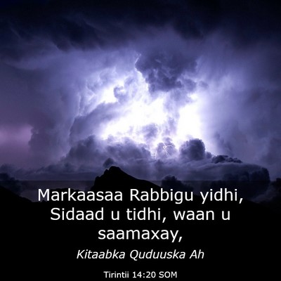 Picture 03 - Tirintii 14:20 SOM - Markaasaa Rabbigu yidhi, Sidaad u tidhi, waan u - Bible Verse Picture