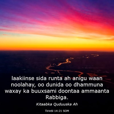 Picture 03 - Tirintii 14:21 SOM - laakiinse sida runta ah anigu waan noolahay, oo - Bible Verse Picture