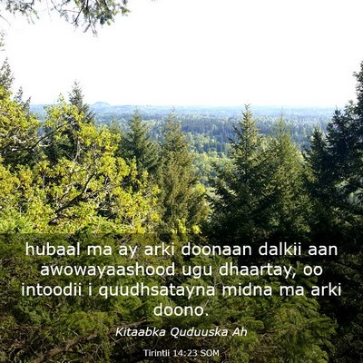 Picture 03 - Tirintii 14:23 SOM - hubaal ma ay arki doonaan dalkii aan - Bible Verse Picture