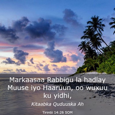Picture 03 - Tirintii 14:26 SOM - Markaasaa Rabbigu la hadlay Muuse iyo Haaruun, oo - Bible Verse Picture