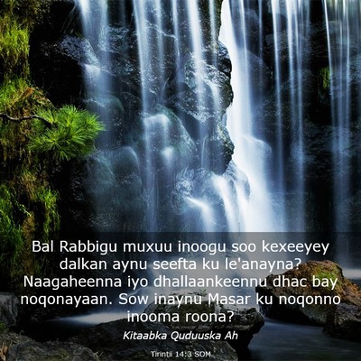 Picture 03 - Tirintii 14:3 SOM - Bal Rabbigu muxuu inoogu soo kexeeyey dalkan aynu - Bible Verse Picture