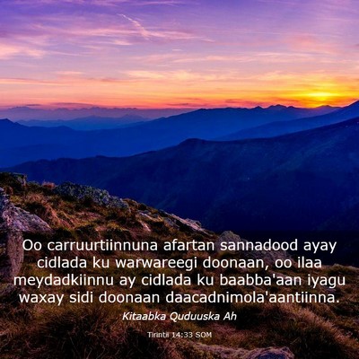 Picture 03 - Tirintii 14:33 SOM - Oo carruurtiinnuna afartan sannadood ayay cidlada - Bible Verse Picture
