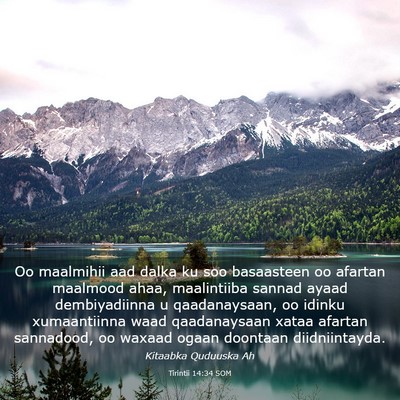 Picture 03 - Tirintii 14:34 SOM - Oo maalmihii aad dalka ku soo basaasteen oo - Bible Verse Picture