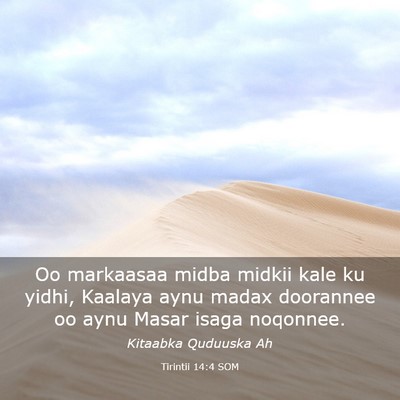 Picture 03 - Tirintii 14:4 SOM - Oo markaasaa midba midkii kale ku yidhi, Kaalaya - Bible Verse Picture