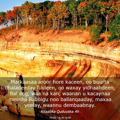 Picture 03 - Tirintii 14:40 SOM - Markaasaa aroor hore kaceen, oo buurta - Bible Verse Picture