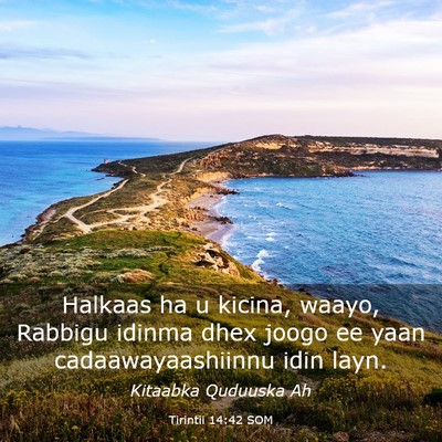 Picture 03 - Tirintii 14:42 SOM - Halkaas ha u kicina, waayo, Rabbigu idinma dhex - Bible Verse Picture