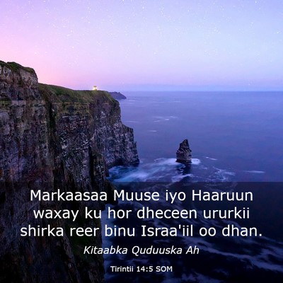 Picture 03 - Tirintii 14:5 SOM - Markaasaa Muuse iyo Haaruun waxay ku hor dheceen - Bible Verse Picture