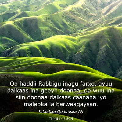 Picture 03 - Tirintii 14:8 SOM - Oo haddii Rabbigu inagu farxo, ayuu dalkaas ina - Bible Verse Picture