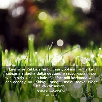 Picture 03 - Tirintii 14:9 SOM - Laakiinse Rabbiga ha ku caasiyoobina, oo ha ka - Bible Verse Picture