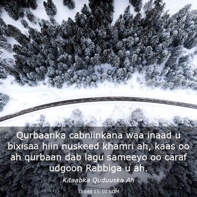 Picture 03 - Tirintii 15:10 SOM - Qurbaanka cabniinkana waa inaad u bixisaa hiin - Bible Verse Picture