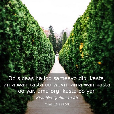 Picture 03 - Tirintii 15:11 SOM - Oo sidaas ha loo sameeyo dibi kasta, ama wan - Bible Verse Picture
