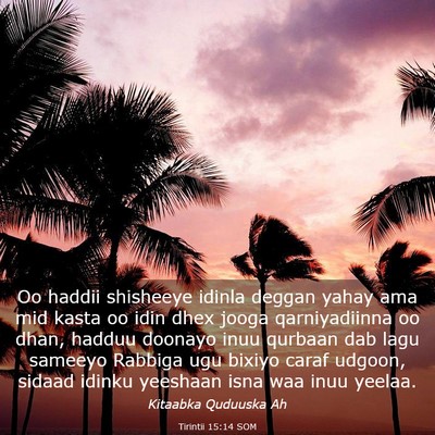 Picture 03 - Tirintii 15:14 SOM - Oo haddii shisheeye idinla deggan yahay ama mid - Bible Verse Picture