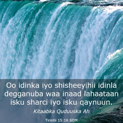 Picture 03 - Tirintii 15:16 SOM - Oo idinka iyo shisheeyihii idinla degganuba waa - Bible Verse Picture