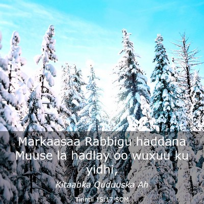 Picture 03 - Tirintii 15:17 SOM - Markaasaa Rabbigu haddana Muuse la hadlay oo - Bible Verse Picture
