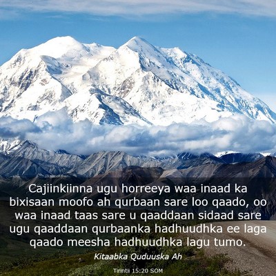 Picture 03 - Tirintii 15:20 SOM - Cajiinkiinna ugu horreeya waa inaad ka bixisaan - Bible Verse Picture
