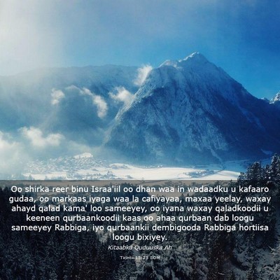 Picture 03 - Tirintii 15:25 SOM - Oo shirka reer binu Israa'iil oo dhan waa in - Bible Verse Picture