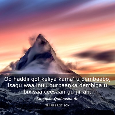 Picture 03 - Tirintii 15:27 SOM - Oo haddii qof keliya kama' u dembaabo, isagu waa - Bible Verse Picture