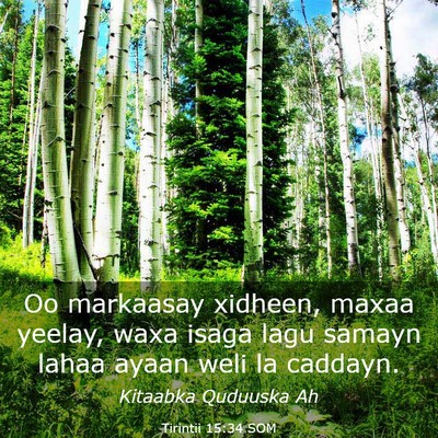 Picture 03 - Tirintii 15:34 SOM - Oo markaasay xidheen, maxaa yeelay, waxa isaga - Bible Verse Picture