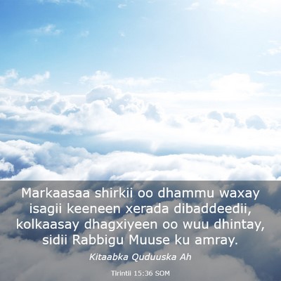 Picture 03 - Tirintii 15:36 SOM - Markaasaa shirkii oo dhammu waxay isagii keeneen - Bible Verse Picture