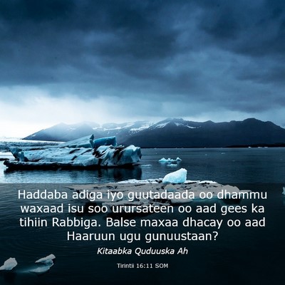 Picture 03 - Tirintii 16:11 SOM - Haddaba adiga iyo guutadaada oo dhammu waxaad isu - Bible Verse Picture