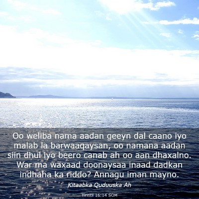 Picture 03 - Tirintii 16:14 SOM - Oo weliba nama aadan geeyn dal caano iyo malab la - Bible Verse Picture