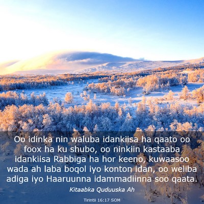 Picture 03 - Tirintii 16:17 SOM - Oo idinka nin waluba idankiisa ha qaato oo foox - Bible Verse Picture