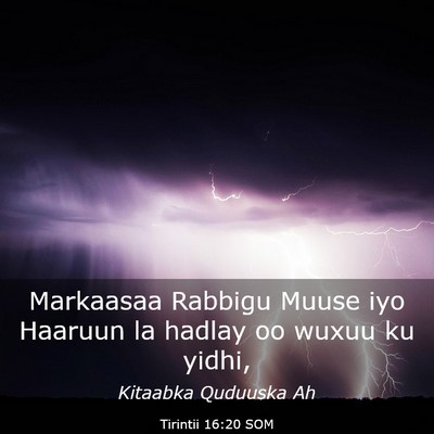 Picture 03 - Tirintii 16:20 SOM - Markaasaa Rabbigu Muuse iyo Haaruun la hadlay oo - Bible Verse Picture